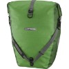 Kiwi Moss Green