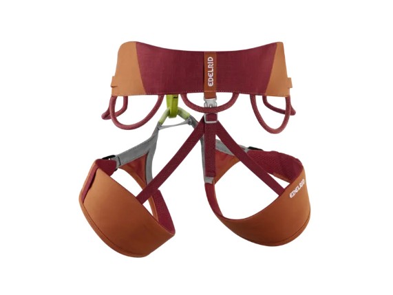 Edelrid Jay IV Klettergurt