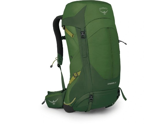 Pine Leaf Green