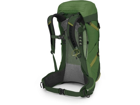 Pine Leaf Green