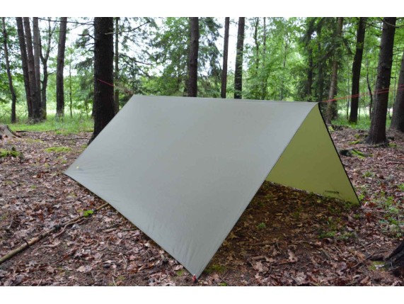 shelter_olive green I