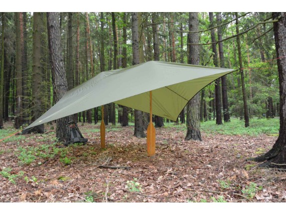 shelter_olive green II