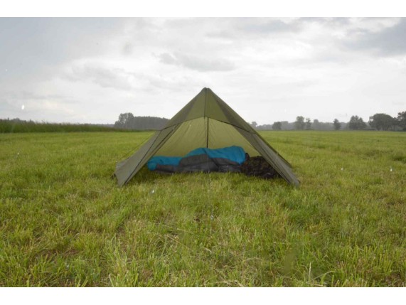 shelter_olive green V