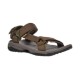 dark olive/ desert palm