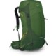 pine leaf green