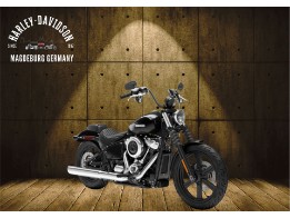 FXBB 2025 STREET BOB