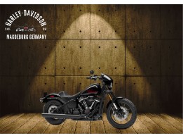 FXLRS 2025 LOW RIDER S