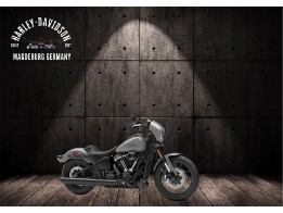 FXLRS LOW RIDER S 2025