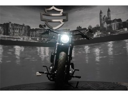 FXST