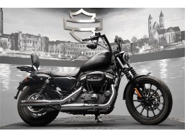 XL883N  SPORTSTER