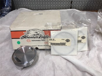 SE Kolben- und Ring Kit 4.060"