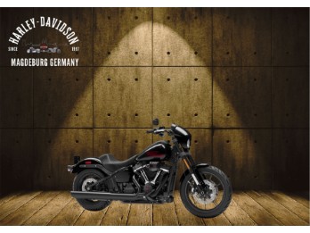 FXLRS 2025 LOW RIDER S