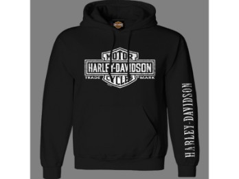 Dealerpulli Long Logo 1 HD