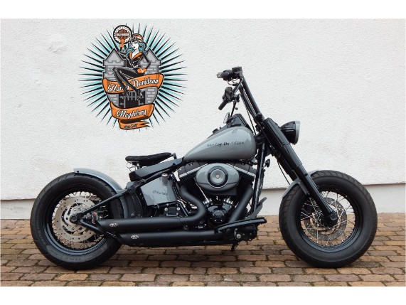 HARLEY-DAVIDSON FLS, 0005513