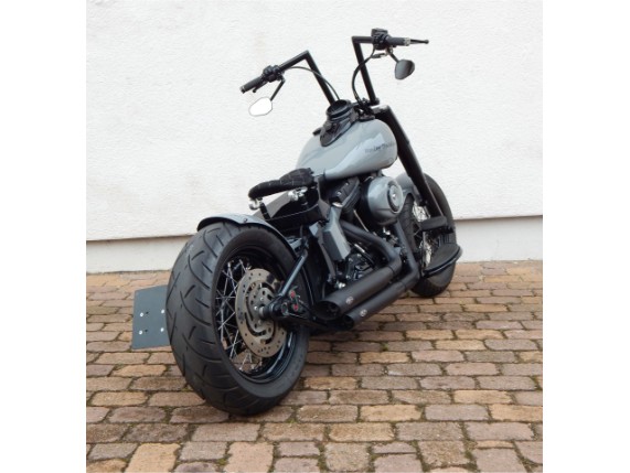 HARLEY-DAVIDSON FLS, 0005513