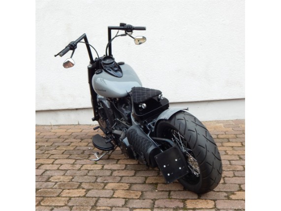 HARLEY-DAVIDSON FLS, 0005513