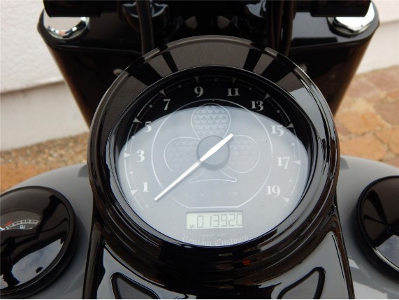 HARLEY-DAVIDSON FLS, 0005513