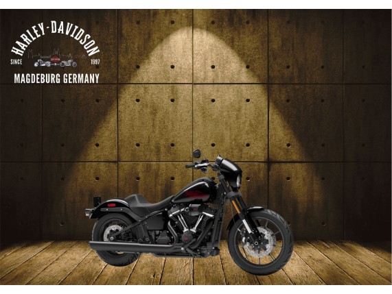 HARLEY-DAVIDSON FXLRS 2025 LOW RIDER S, 0005852