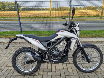 ALP 4.0 TRIAL