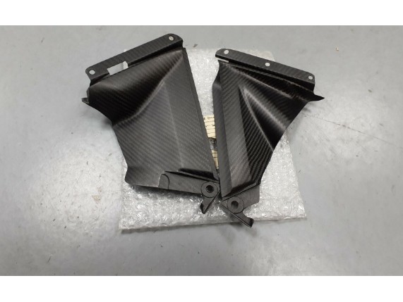 894871, RSV4 CARBON KIT "LUFTEIN