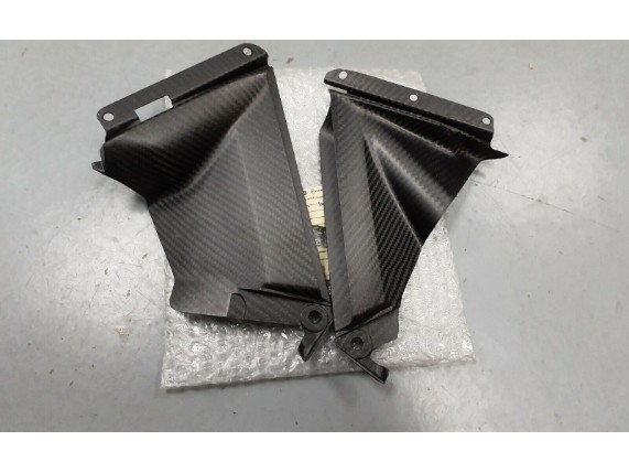 894871, RSV4 CARBON KIT "LUFTEIN