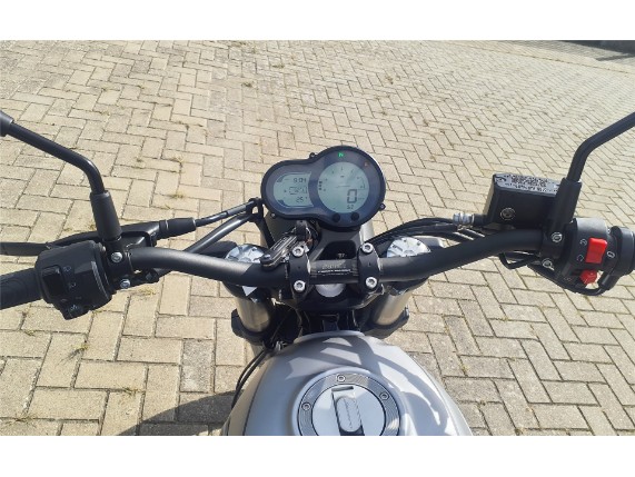 BENELLI Leoncino 500 T E5, 0003024