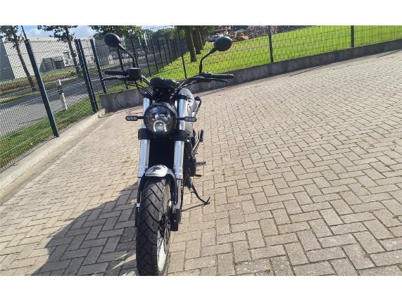 BENELLI Leoncino 500 T E5, 0003024