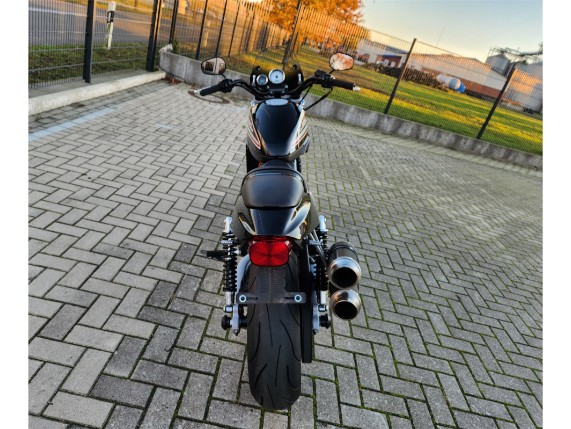 HARLEY DAVIDSON XR 1200, 5HD1LA6179K405962