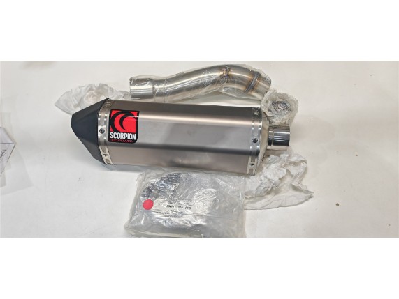RYA74TEO, Serket Auspuff  Yamaha FZ 1
