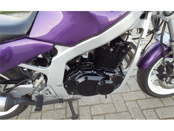 SUZUKI GS 500 E, 0002876