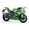 Kawasaki Ninja ZX-4RR, 0037445