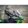 Kawasaki Versys 650, ML5LE650JJDA11564