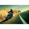 Kawasaki Z650 Sport, 0036913