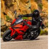 SUZUKI GSX-8R Dadai Iro Power Edition, 0037996