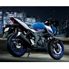 SUZUKI GSX S125 Tageszulassung!, MH8DL32EZSJ100505