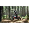 Yamaha XTZ 700 Ténéré W-Raid, 0037663