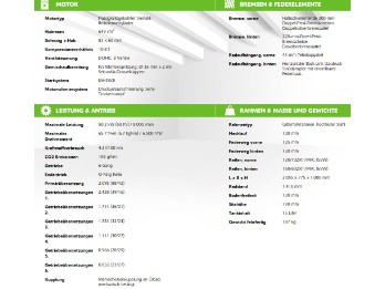 Z650 Performance