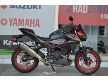 Z500 SE  Performance