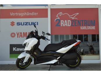 X-Max 300 TECHMAX