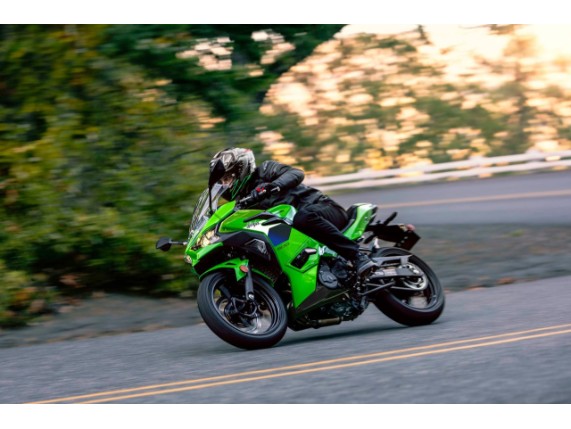 Kawasaki Ninja 500 SE, 0037512