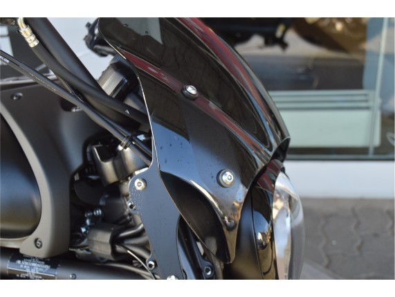 Kawasaki Vulcan S Performance, 0036955
