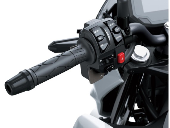 Kawasaki Z 7 Hybrid AKTION ZULASSUNG, 0037992