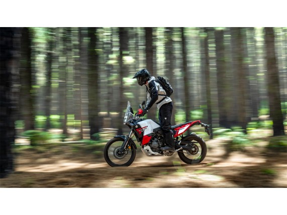 YAMAHA Tenere 700 World Raid, 0037841