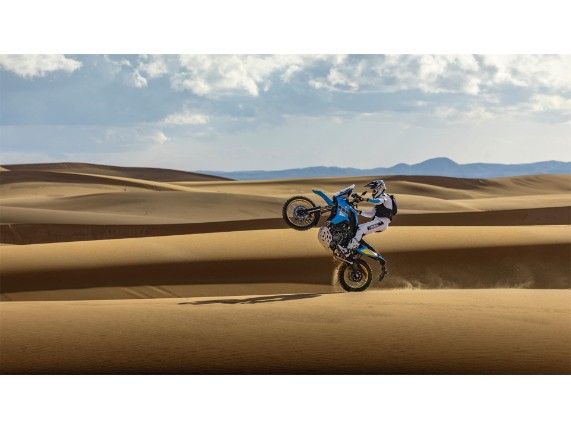 Yamaha XTZ 700 Ténéré Rally, 0037422