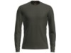 icebreaker-200-oasis-l-s-crewe-dk-loden-merinounterwaesche_1