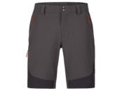 Torque Mountain Shorts