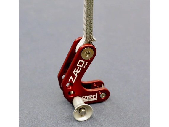 raed-climbing-zaed-mini-111511-24627