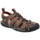 raven/tortoise shell