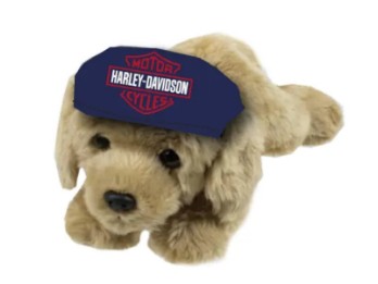 9959522 Cuddle Bud Freedom, der Retriever