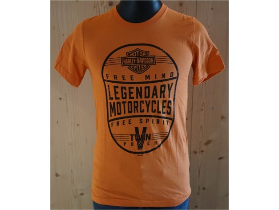 40291591_ Label Spirit T Shirt_Front